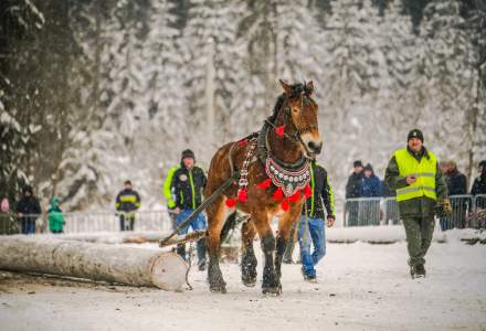 Zimowe Zawody Furmanów fot. Michał Kuźma