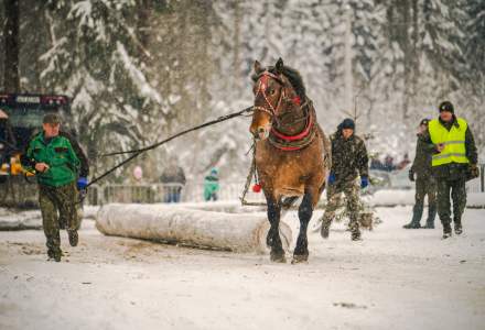 Zimowe Zawody Furmanów fot. Michał Kuźma