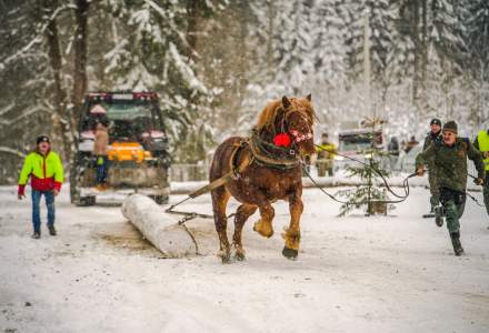 Zimowe Zawody Furmanów fot. Michał Kuźma