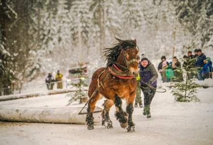 Zimowe Zawody Furmanów fot. Michał Kuźma