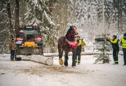 Zimowe Zawody Furmanów fot. Michał Kuźma