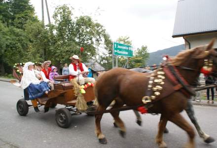 Dożynki 2012