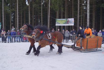 XX Zawody Furmanów