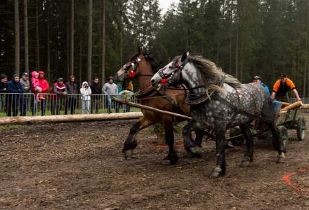 Zawody Furmanów 2023