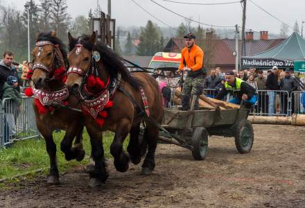 Zawody Furmanów 2023