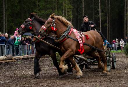 Zawody Furmanów 2023