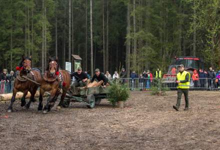 Zawody Furmanów 2023