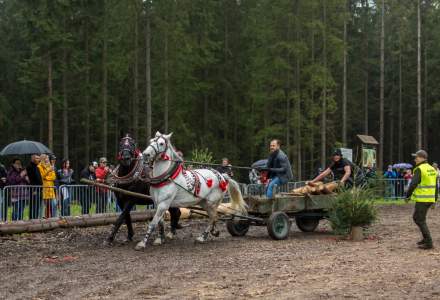 Zawody Furmanów 2023
