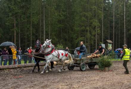 Zawody Furmanów 2023