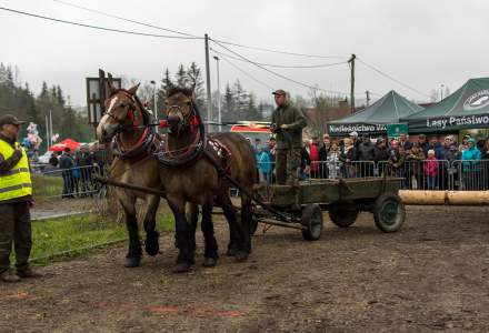 Zawody Furmanów 2023