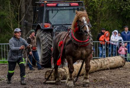 Zawody Furmanów 2023