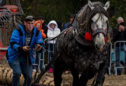 Zawody Furmanów 2023