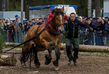 Zawody Furmanów 2023