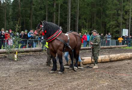 Zawody Furmanów 2023