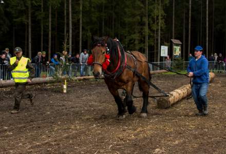 Zawody Furmanów 2023