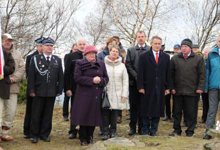 Obchody Święta Niepodległości