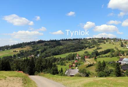 Tyniok