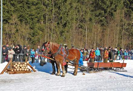 Zimowe zawody Furmanów 2017