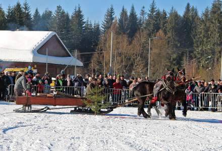 Zimowe Zawody Furmanów 2017