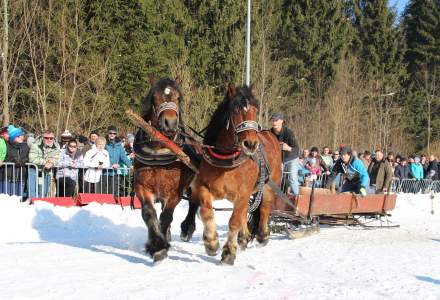 Zimowe Zawody Furmanów 2017