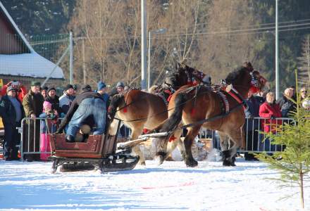 Zimowe Zawody Furmanów 2017