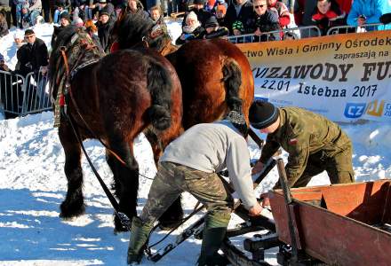 Zimowe Zawody Furmanów 2017