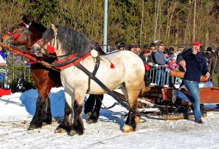 Zimowe Zawody Furmanów 2017