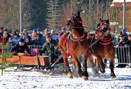 Zimowe Zawody Furmanów 2017