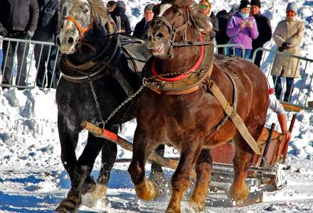 Zimowe Zawody Furmanów 2017