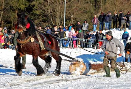 Zimowe Zawody Furmanów 2017