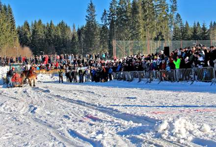 Zimowe Zawody Furmanów 2017