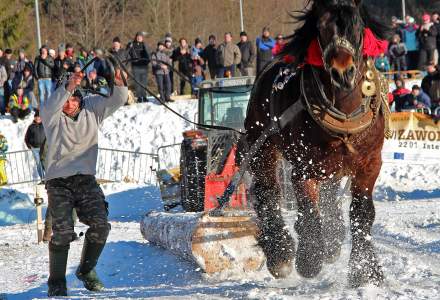 Zimowe Zawody Furmanów 2017