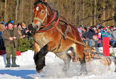 Zimowe Zawody Furmanów 2017