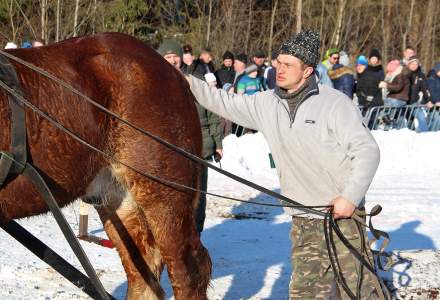 Zimowe Zawody Furmanów 2017