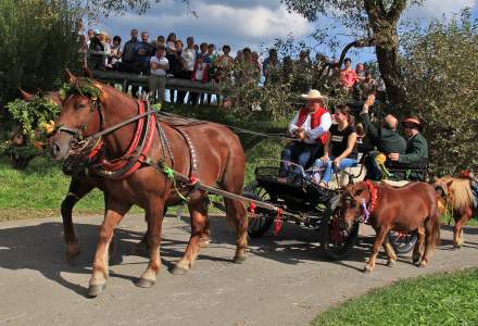 Dożynki Gminne 2018