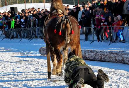 Zimowe Zawody Furmanów 2017