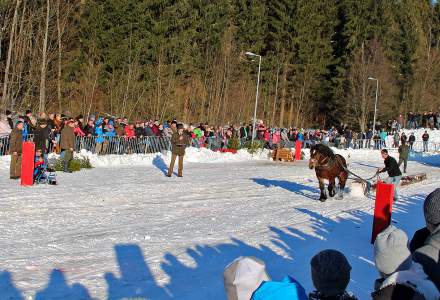 Zimowe Zawody Furmanów 2017