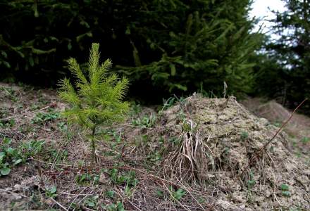 Wczesnowiosenne klimaty