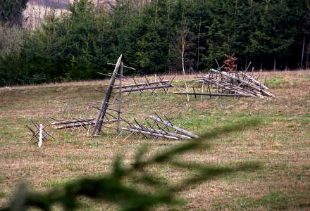 Wczesnowiosenne klimaty