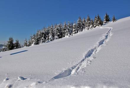 Zima na Trójstyku