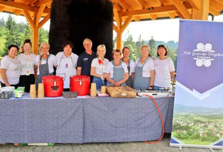 Dziewięćsił Festiwal