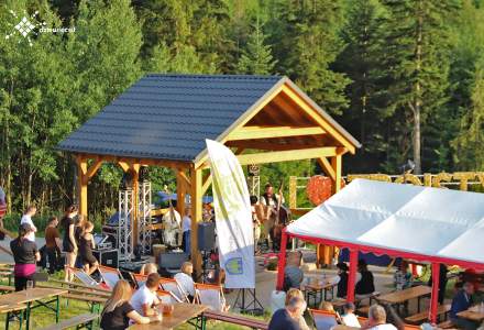 Dziewięćsił Festiwal