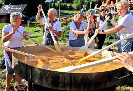 Dziewięćsił Festiwal