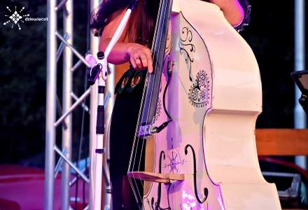 Dziewięćsił Festiwal