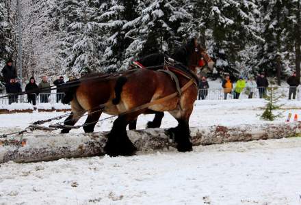 XVII Zimowe Zawody Furmanów