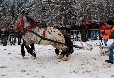 XVII Zimowe Zawody Furmanów