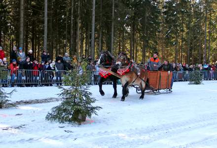 XIX Zawody Furmanów