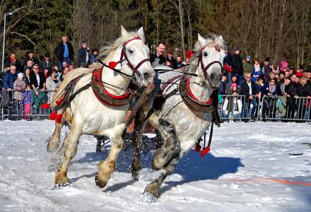 Zawody Furmanów 2019