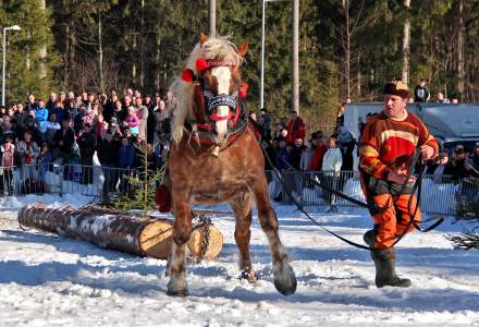 Zawody Furmanów 2019