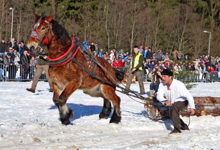 Zawody Furmanów 2019